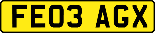 FE03AGX
