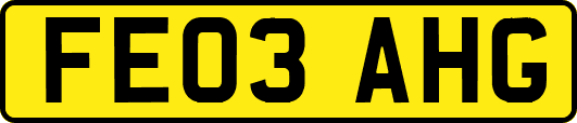 FE03AHG