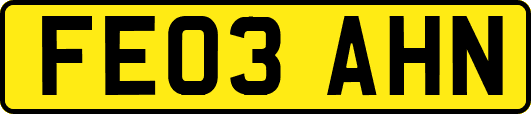 FE03AHN