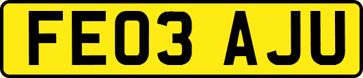 FE03AJU