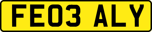 FE03ALY