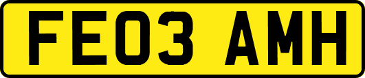 FE03AMH