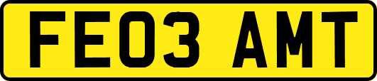 FE03AMT
