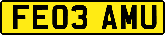 FE03AMU