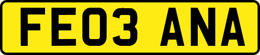 FE03ANA