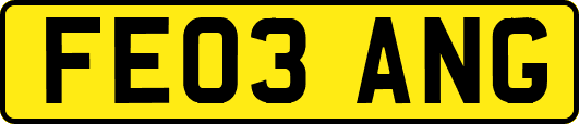 FE03ANG