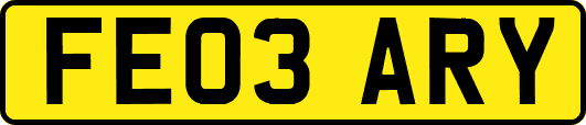 FE03ARY