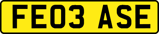 FE03ASE