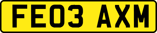 FE03AXM