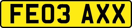 FE03AXX