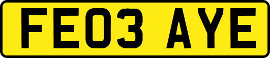 FE03AYE