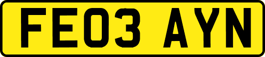 FE03AYN
