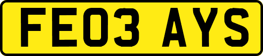 FE03AYS