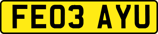 FE03AYU