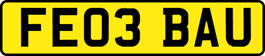FE03BAU