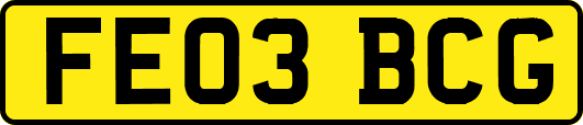 FE03BCG