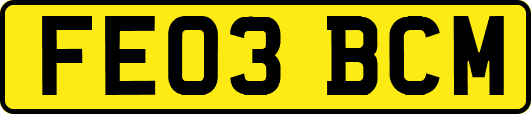 FE03BCM