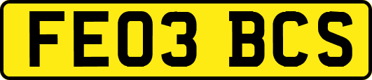 FE03BCS