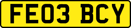 FE03BCY