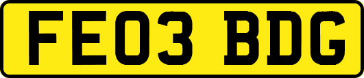 FE03BDG