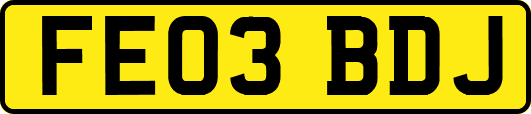 FE03BDJ