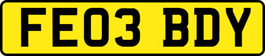 FE03BDY