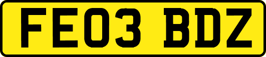 FE03BDZ