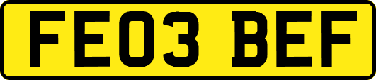 FE03BEF