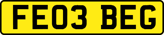 FE03BEG