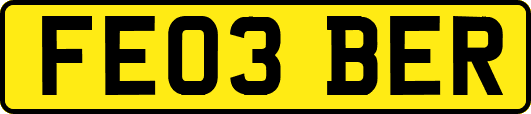 FE03BER