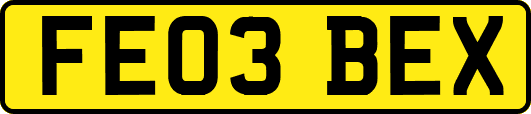 FE03BEX