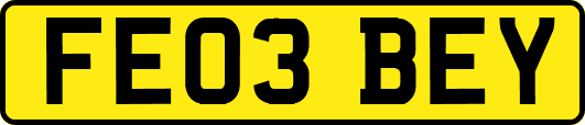 FE03BEY