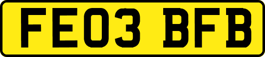 FE03BFB