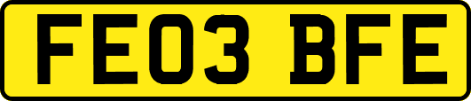 FE03BFE