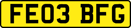 FE03BFG