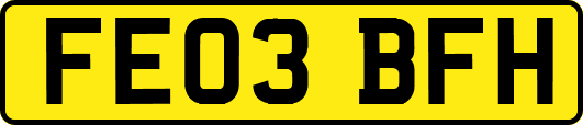 FE03BFH