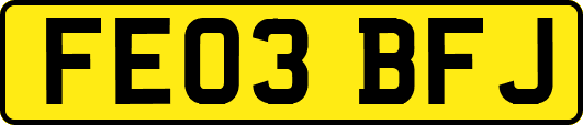 FE03BFJ