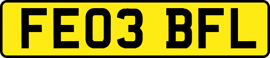 FE03BFL