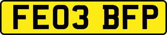 FE03BFP