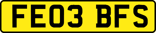 FE03BFS