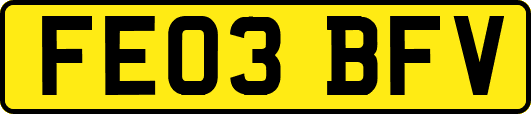 FE03BFV