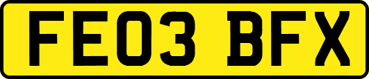FE03BFX