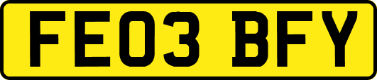FE03BFY