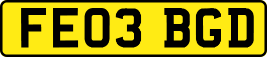 FE03BGD