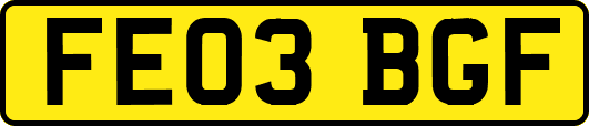 FE03BGF