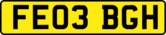 FE03BGH
