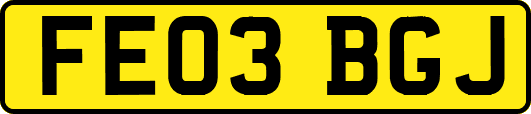 FE03BGJ