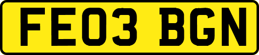 FE03BGN