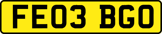 FE03BGO