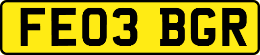 FE03BGR